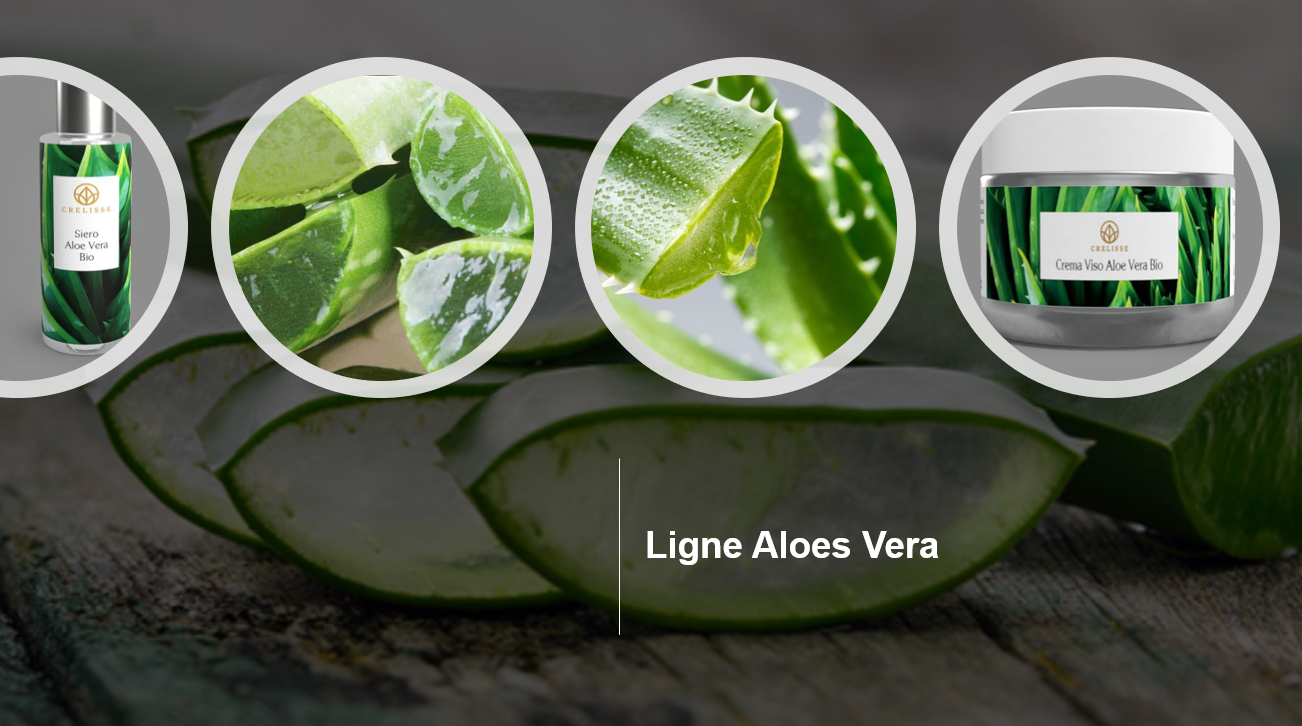 Aloe vera 11 05 2020